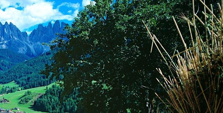 Apartmán Galreidhof Funes  Exteriér fotografie